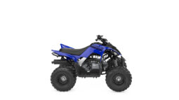 
										Yamaha YFM110R complet									